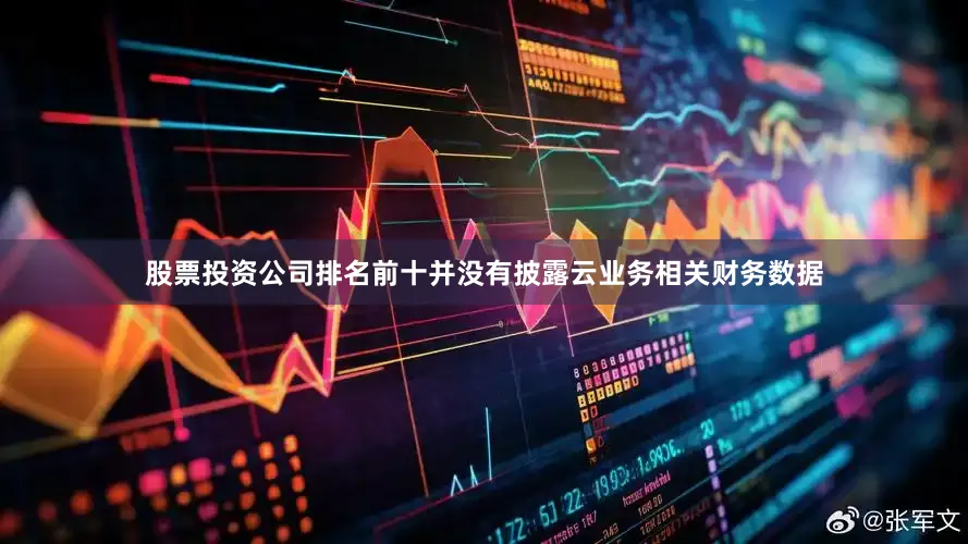 股票投资公司排名前十并没有披露云业务相关财务数据
