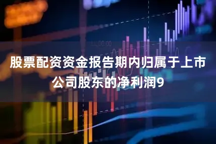 股票配资资金报告期内归属于上市公司股东的净利润9