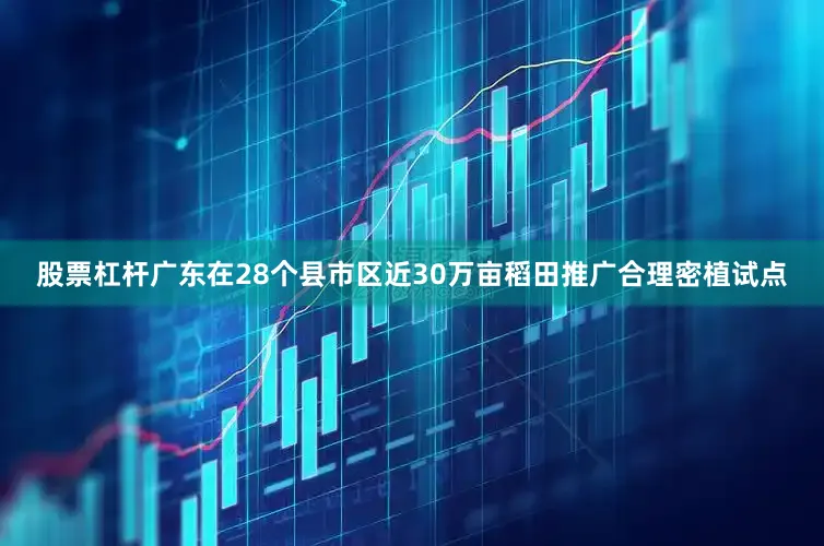 股票杠杆广东在28个县市区近30万亩稻田推广合理密植试点